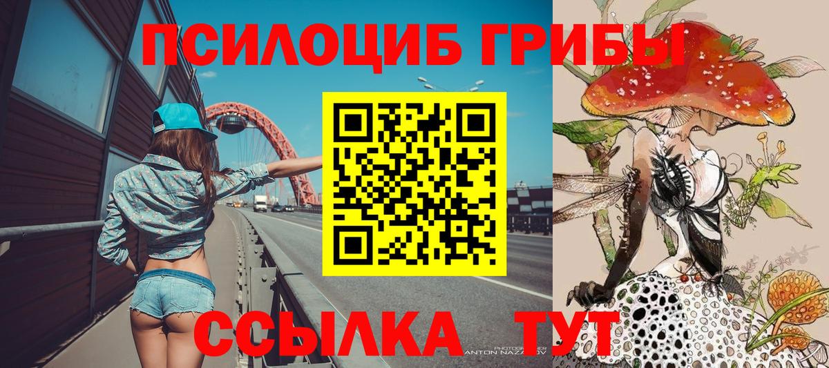 Галлюциногенные грибы мицелий  Вход с VPN  Пушкино  Псилоцибиновые грибы мицелий 