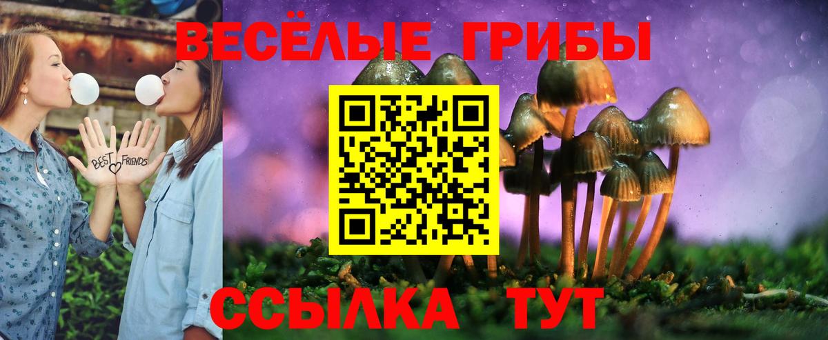 Псилоцибиновые грибы GOLDEN TEACHER Пушкино