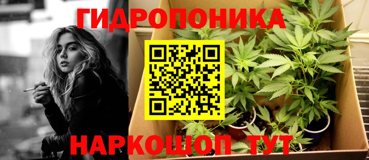 Бошки марихуана White Widow  Каннабис гибрид  Вход с VPN  Пушкино 